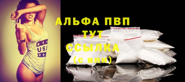 прущие грибы Рославль