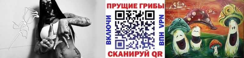 купить   Богучар  darknet наркотические препараты  Псилоцибиновые грибы MAGIC MUSHROOMS 